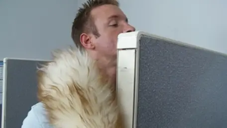 Brazzers: Phone Sex or Real F**k?